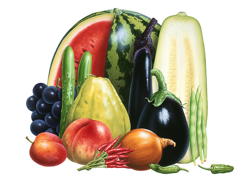 夏野菜と夏の果物イラスト・手書きリアル素材イラスト