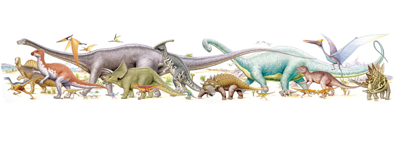 生物イラスト　恐竜達 ディプロドクス ヌオエロサウルス他
