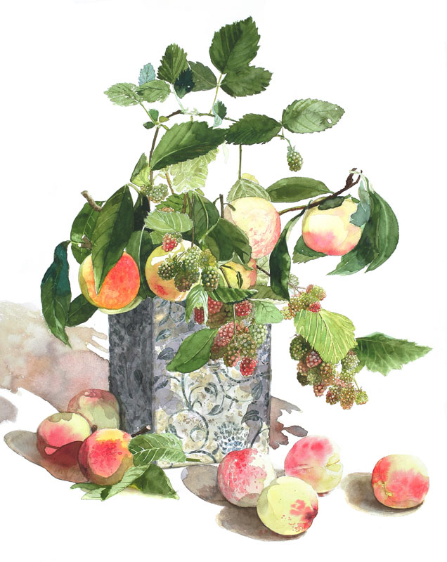 柘植彩子精細水彩イラスト・花瓶の桃とブラックベリー