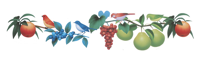 ライン・フレーム枠イラスト　フルーツ果実とかわいい小鳥のパターン