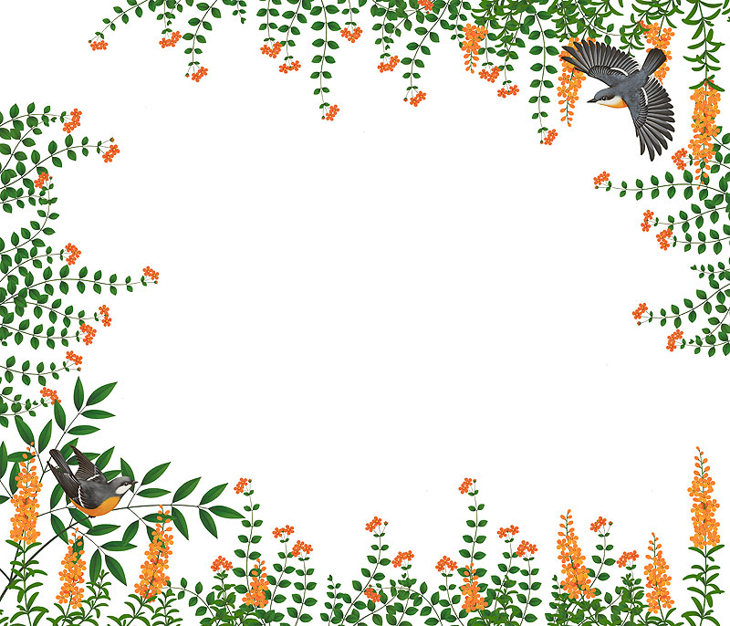 安中昭夫　オレンジ色の花々と小鳥のフレームイラスト素材