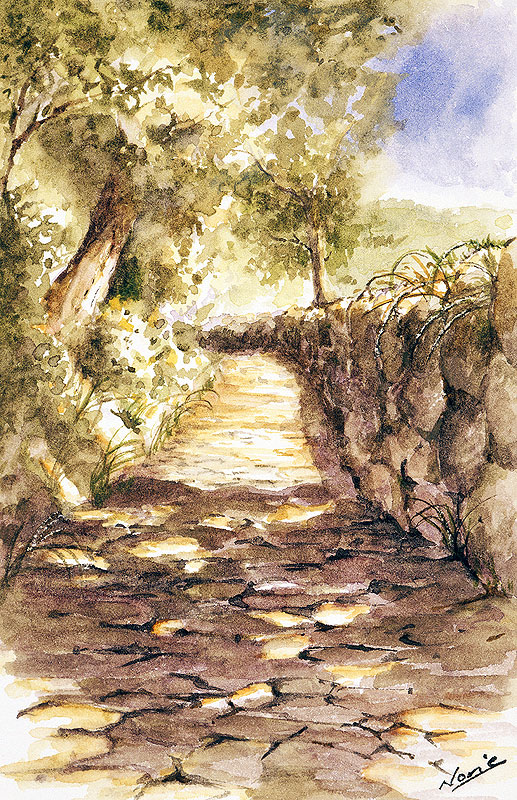 風景イラスト 木と石垣でつくられた山道