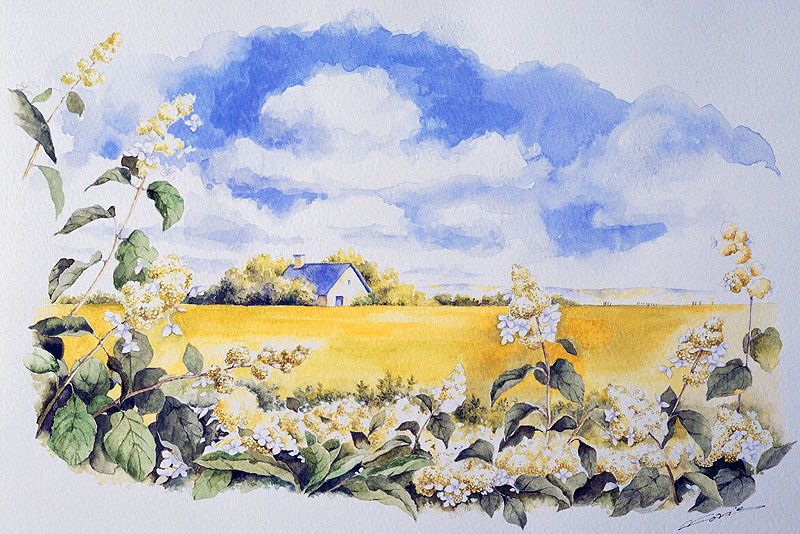花と植物の風景イラスト　白い花と黄色い原の中の青い屋根の家