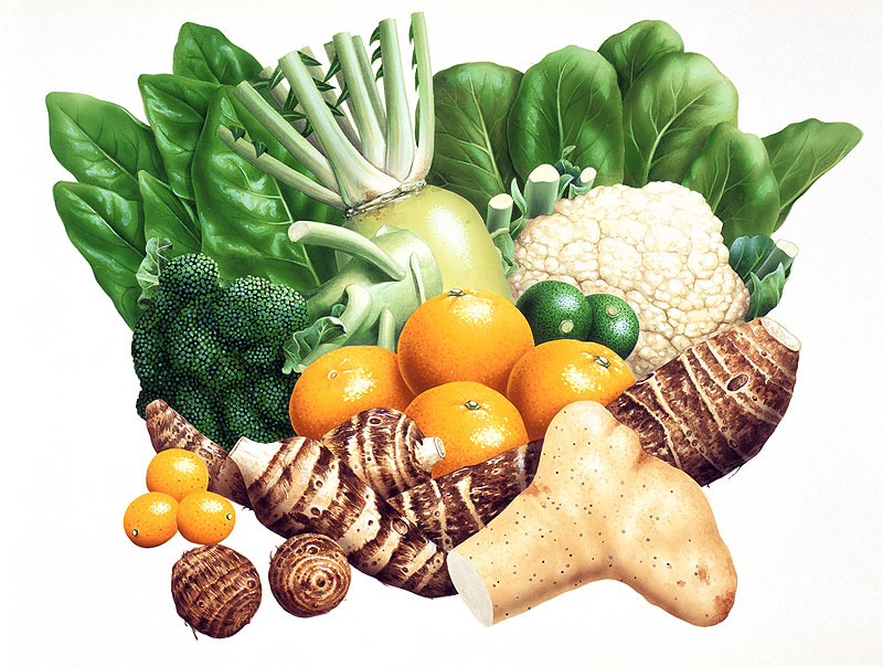 植物・食材イラスト　旬のレシピ　冬12月の野菜果物