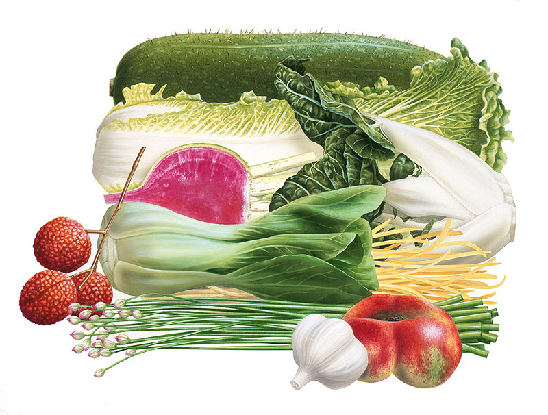 夏野菜イラスト 夏の野菜と果物イラスト ストックイラスト 衛星写真素材blog 株式会社アートバンク オフィシャルブログ