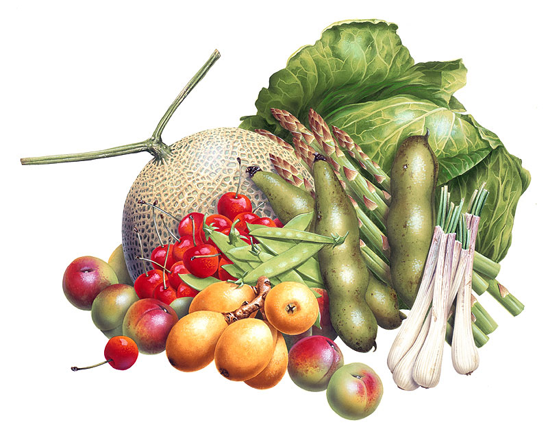 旬の野菜果物イラスト ５月 メロン 枇杷 さくらんぼ等と旬の野菜の