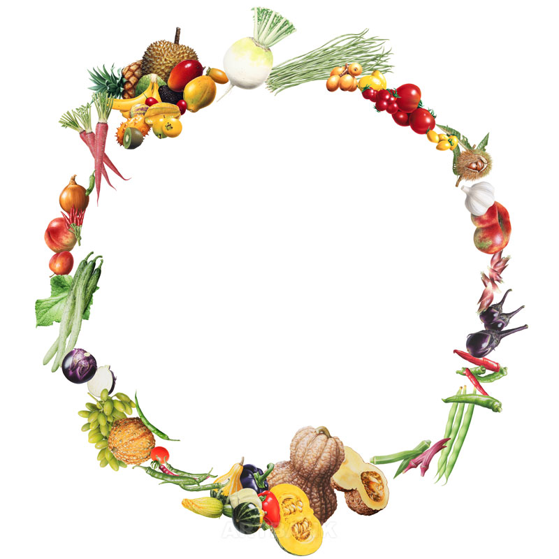  野菜果物円形フレームイラスト・野菜フルーツの枠画像