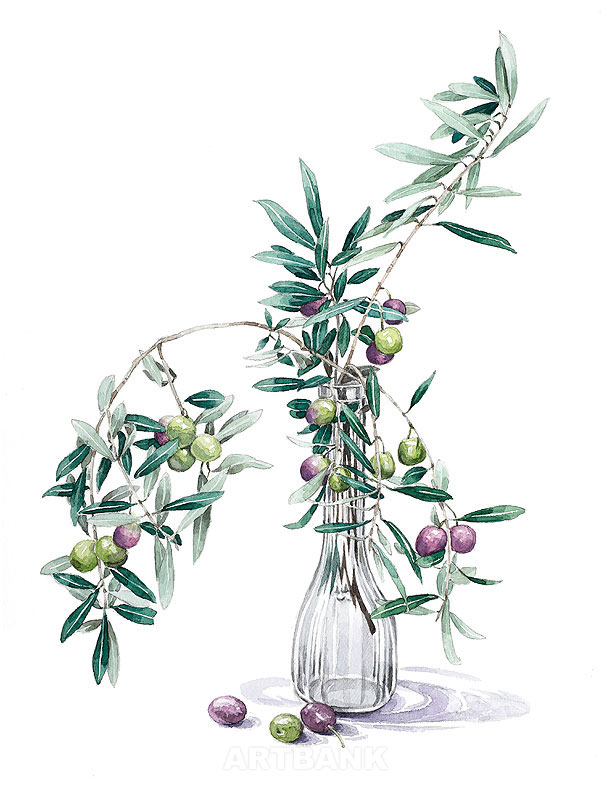 枝付きオリーブイラスト 卓上の観葉植物オリーブの水彩イラスト