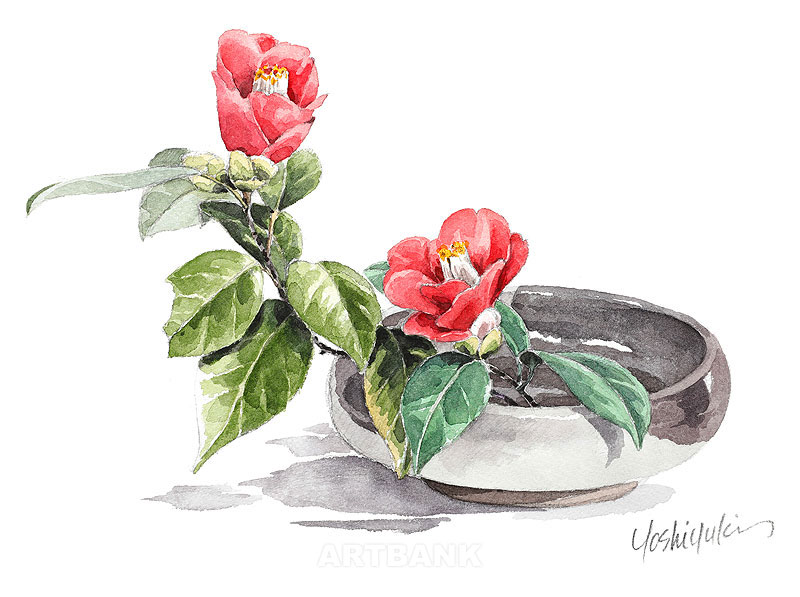 椿の生け花イラスト・手描き水彩