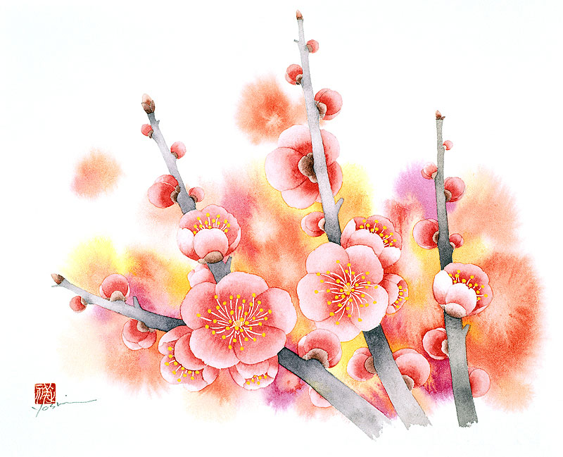 梅の花水彩画イラスト 赤のボカシバックのあるウメ水彩画イラスト