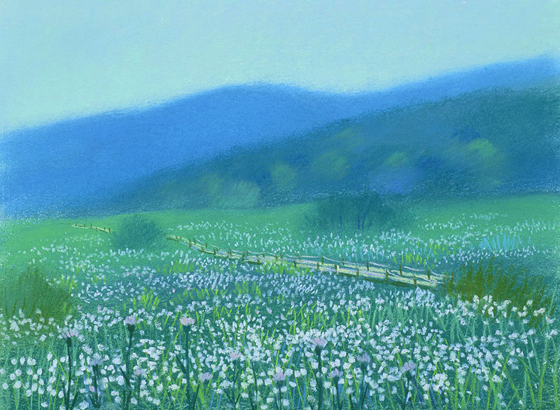 風景イラスト 白い花が一面に咲く湿原の夏の終わり