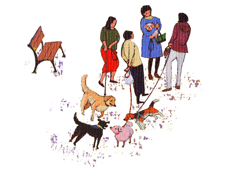 犬の散歩イラスト　公園で井戸端会議する女性・主婦