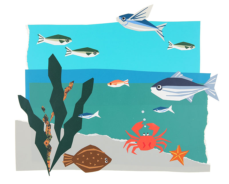 海の生き物イラスト 魚 海藻 カニ