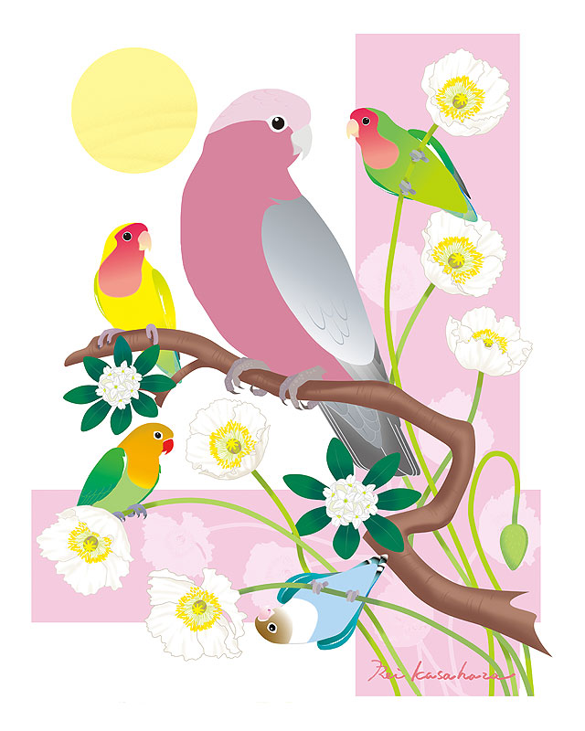 四季の花鳥風月カレンダーイラスト 春の花と鳥 インコとポピーの花