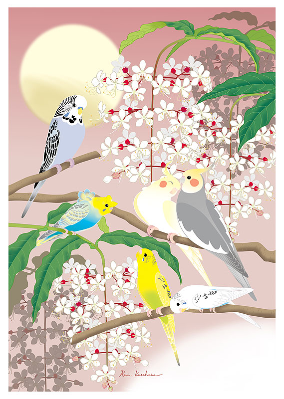 四季の花鳥風月カレンダーイラスト　冬の花と鳥　冬の月にインコとクラリンドウ