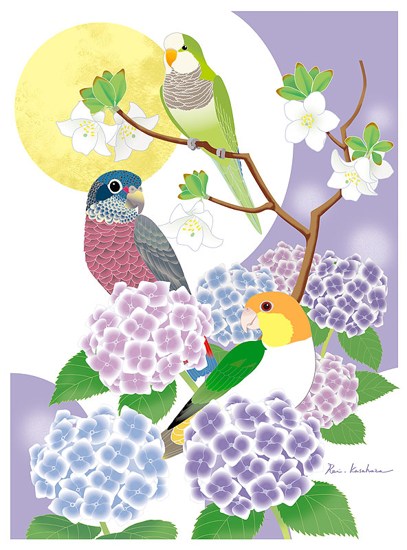 四季の花鳥風月カレンダーイラスト 初夏の花と鳥 梅雨の紫陽花とインコ