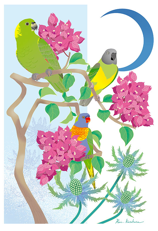 四季の花鳥風月カレンダーイラスト 夏の花と鳥 インコやセネガルパロットと