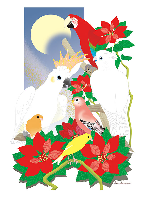四季の花鳥風月カレンダーイラスト 冬の花と鳥 オウムやインコとポインセチア