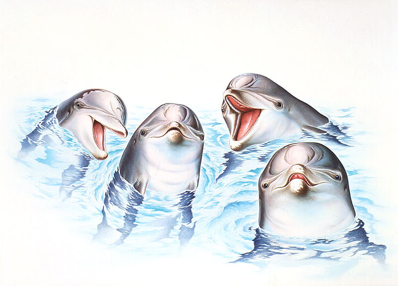 生物イラスト 正面から見た４匹のイルカ