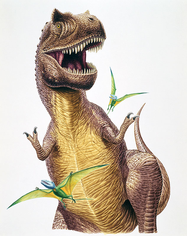 生物イラスト リアル ティラノサウルスとディモルフォドン