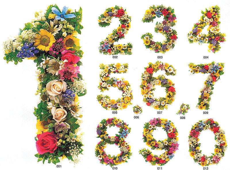 フローラルアート 花の数字