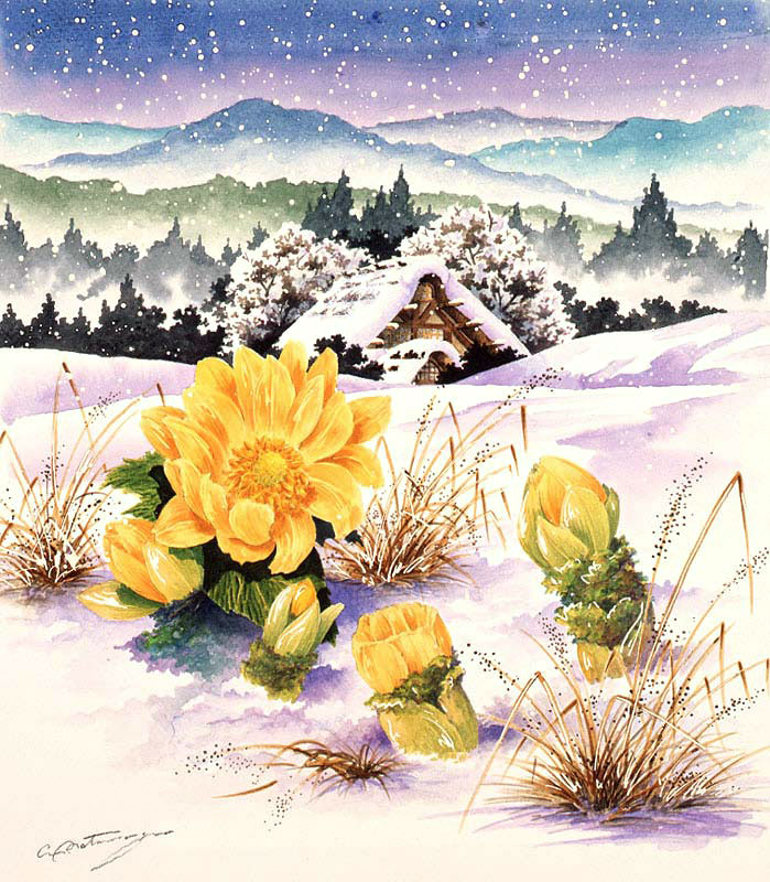 植物イラスト　雪の中のふきのとうと民家と山