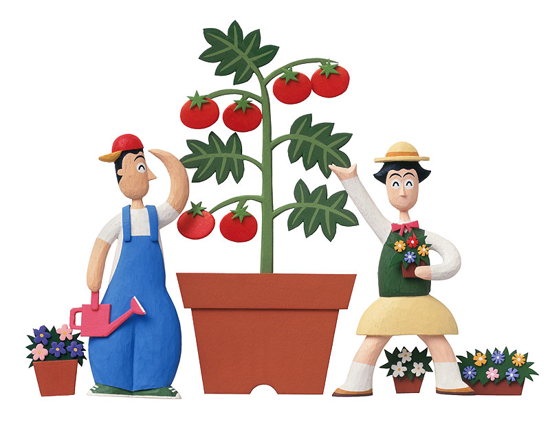 園芸イラスト 家庭菜園でトマトを栽培する男女