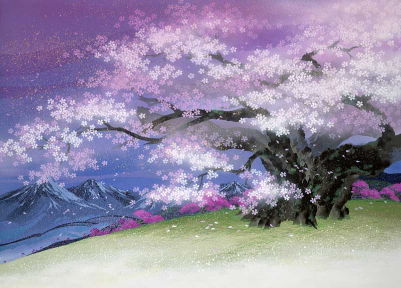 和風イラスト 春満開の薄墨桜 岐阜県根尾村