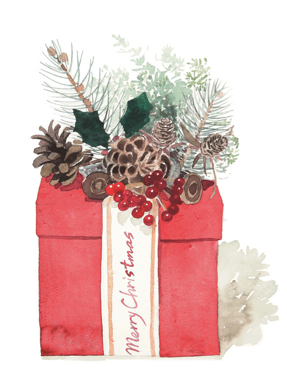 植物・花 水彩画イラスト クリスマスプレゼント