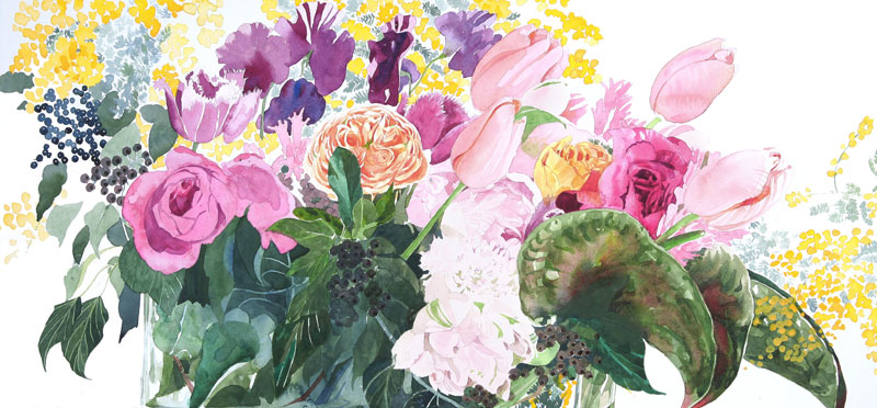 植物 花 水彩画イラスト ミモザ ピンクのチューリップ 薔薇など 植物 花 水彩画イラスト ミモザ ピンクのチューリップ 薔薇など