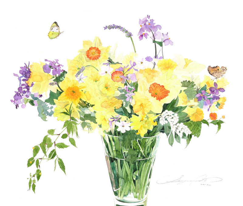 植物 花 水彩画イラスト 黄色の水仙 ラベンダー 馬酔木 春の蝶