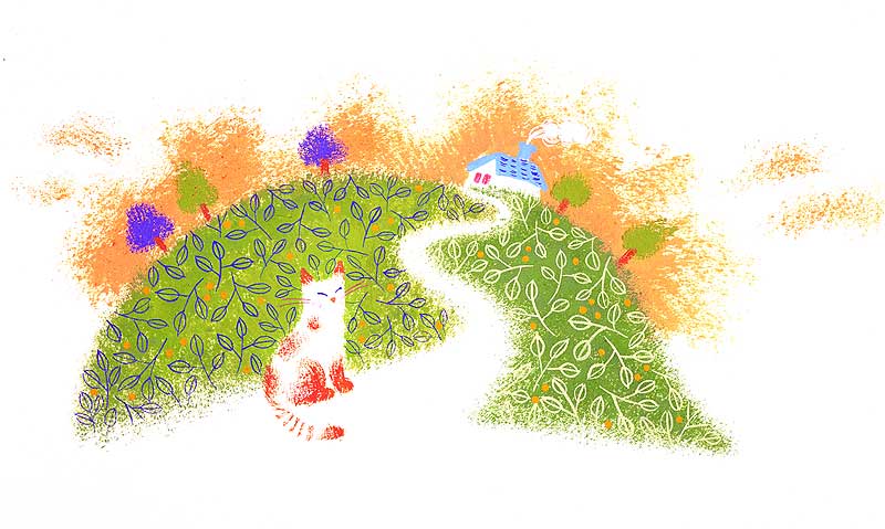 動物 猫イラスト 白い山道で佇む茶白の猫