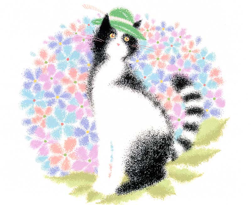 動物 猫イラスト 花いっぱいの円の中で緑帽子の白黒猫