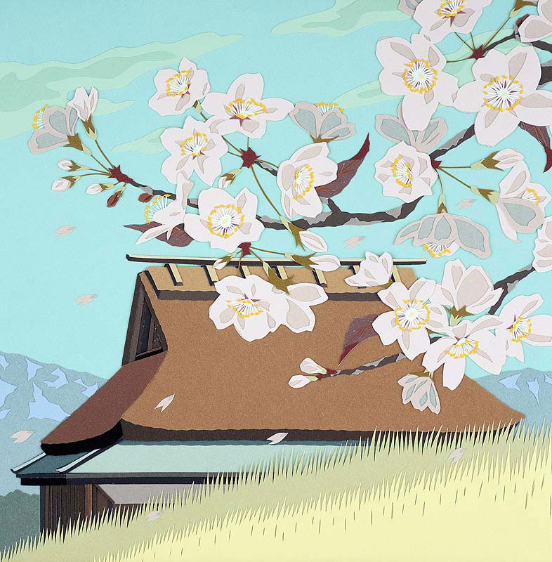 春の息吹、桜と茅葺きの屋根の民家の風情
