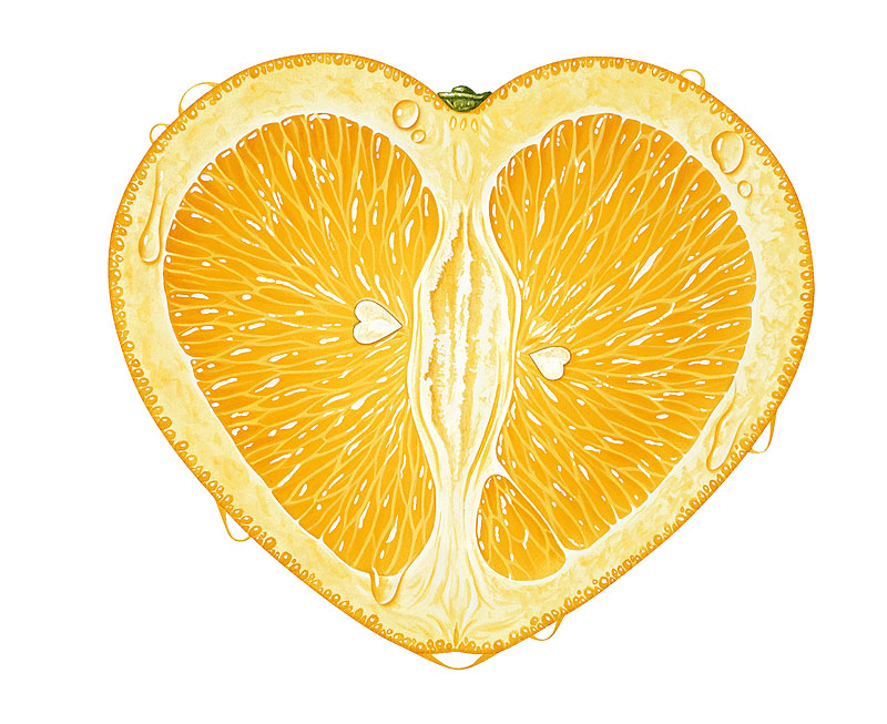 ハート型のオレンジイラスト　みずみずしいハート型オレンジの断面イラスト