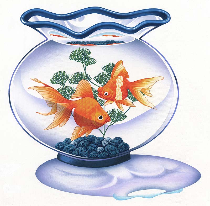 金魚鉢イラスト 丸い金魚鉢に赤い金魚