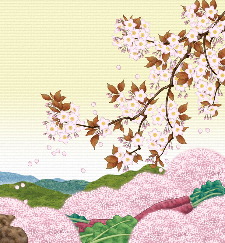 手描き：吉野山の千本桜と飛鳥あかねのイラスト