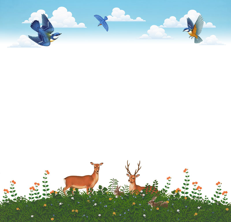 青空と小鳥や動植物のかわいい上下フレームイラスト