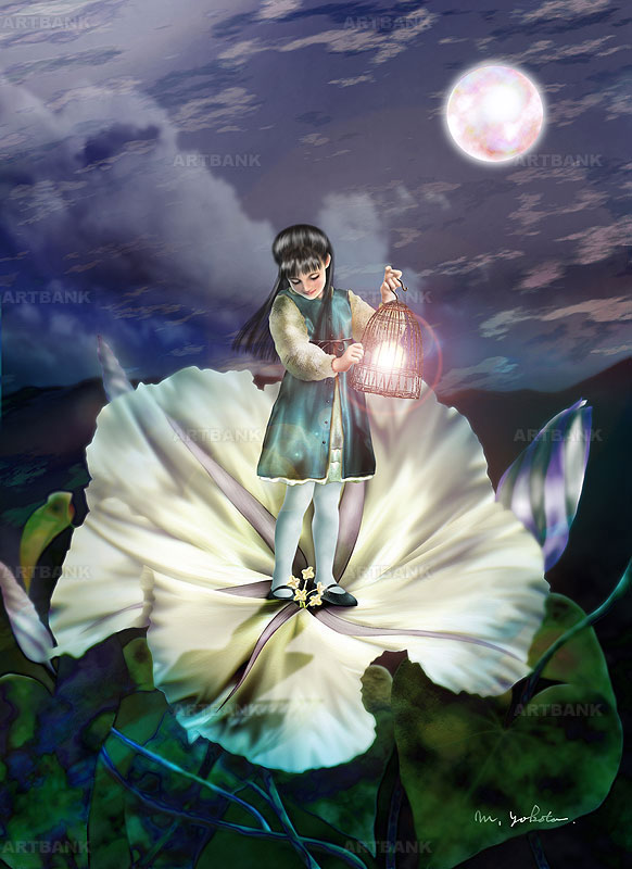 ファンタジーイラスト 月夜に夕顔の花の中で遊ぶ妖精