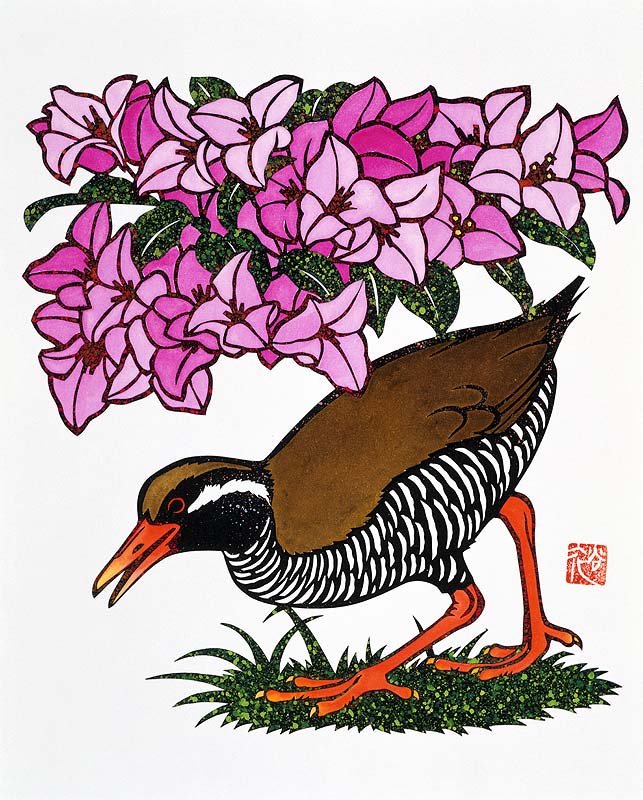 切り絵イラスト 沖縄のヤンバルクイナとブーゲンビリアの花